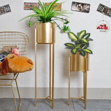 Outdoor Furniture Nordic Plants Stand Balcony Shelf Plant Green Succulent Iron Art Rack Simple Floor Light Flower Holders